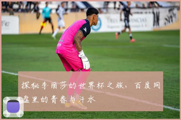 探秘李丽莎的世界杯之旅，百度网盘里的青春与汗水