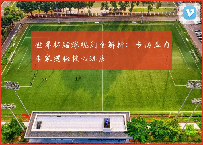 世界杯赌球规则全解析：专访业内专家揭秘核心玩法