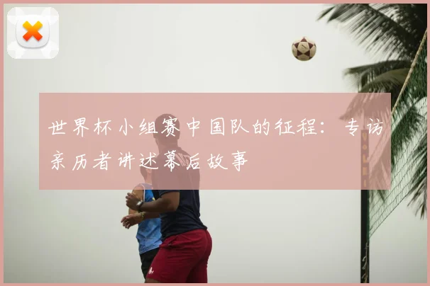 世界杯小组赛中国队的征程：专访亲历者讲述幕后故事