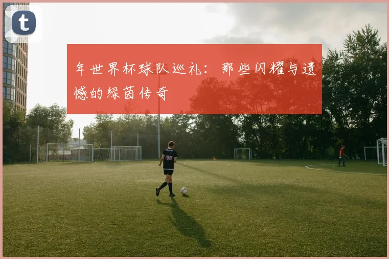 年世界杯球队巡礼：那些闪耀与遗憾的绿茵传奇