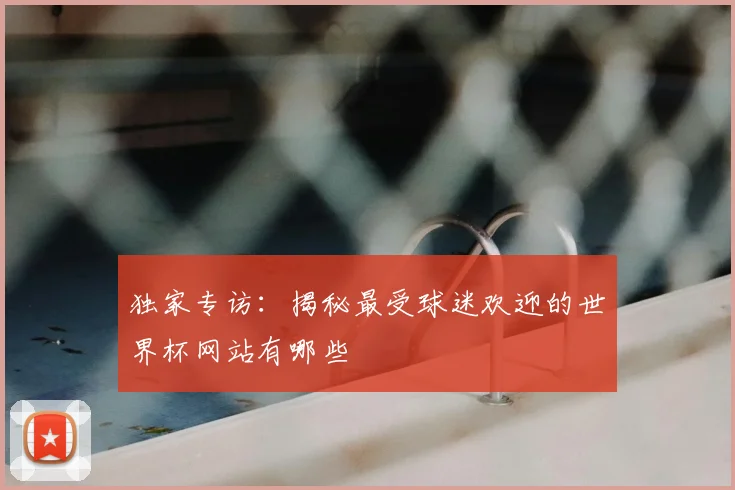 独家专访：揭秘最受球迷欢迎的世界杯网站有哪些